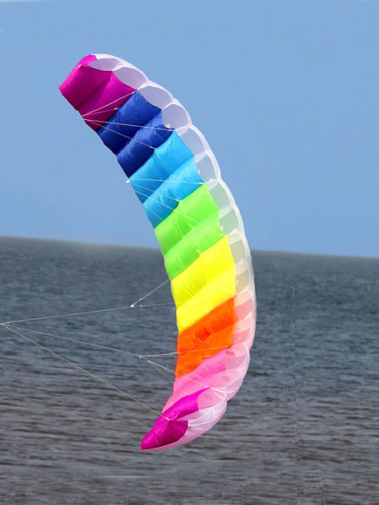 Cerf-volant professionnel 1.4/ - Kite Surf Bar Control avis et prix